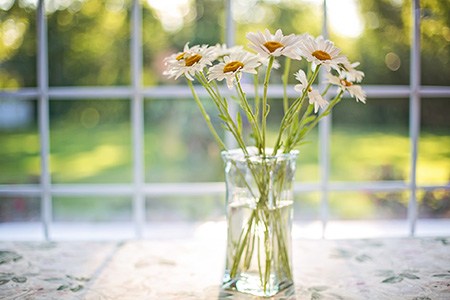if you are looking for a humidifier alternative that looks beautiful, use vases with water that has flowers in them!