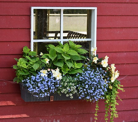 there are many window shutter alternatives but window box planters are probably the most alive and beautiful one