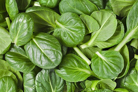 a special types of spinach is perfect for raw consuming and it is nothing else than baby spoon spinach