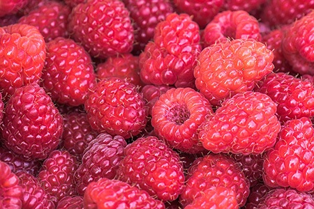 the most popular raspberry types around the world is nothing else than boyne raspberries