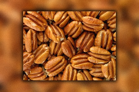 one of the most popular pecan varieties all over the world is cape fear pecans