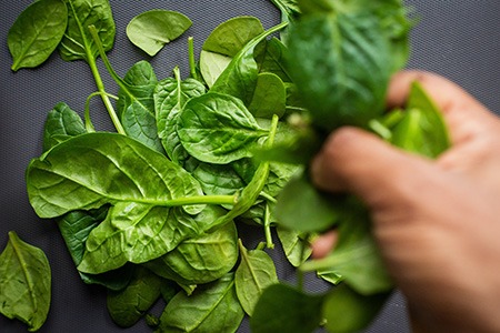 if thick leaves and smooth texture is your thing, you must definitely try a unique spinach species named catalina spinach