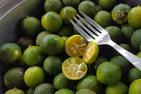 philippine limes