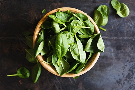 one of the most common species of spinach is space spinach