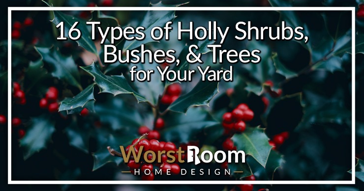 16 Types of Holly Shrubs, Bushes, & Trees for Your Yard