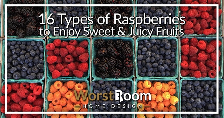 types of raspberries