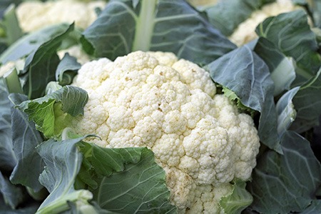 if you are looking for different types of cauliflower that have a smooth texture, you must go with attribute cauliflower