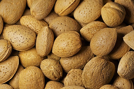 ferraduel almonds