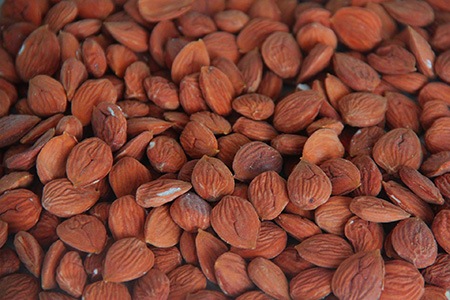 some almond varieties, like fritz almonds, are smaller than most of the other varieties