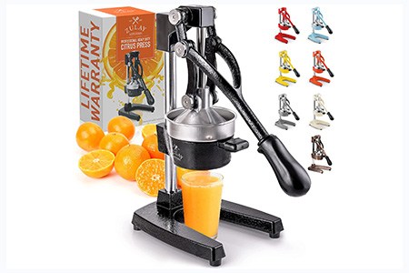 hydraulic juicers are special types of juicers because it can get the juice out of various fruits and vegetables easily