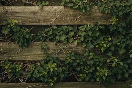 some types of wood fences, like living fence/wattle fence, can bring life to your garden borders