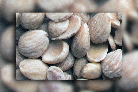 marcona almonds