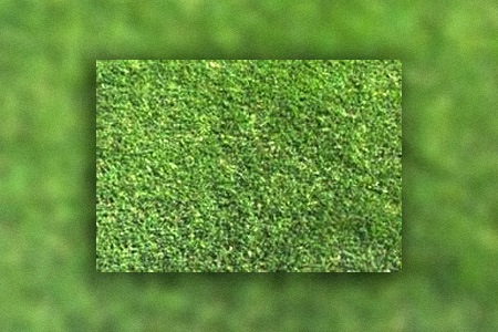 mohawk bermuda grass