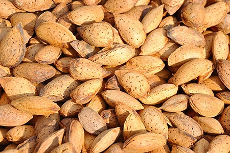 if you are looking for sweet varieties of almonds you must give mollar almonds a shot