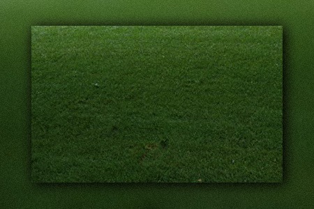 sahara bermuda grass