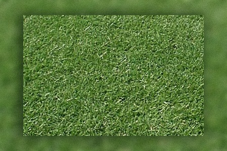 triangle blend bermuda grass