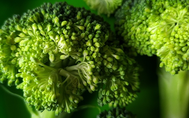 types of broccoli thumbnail