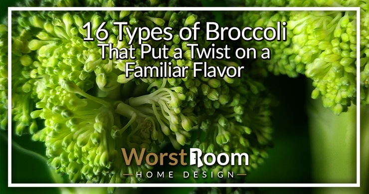 types of broccoli