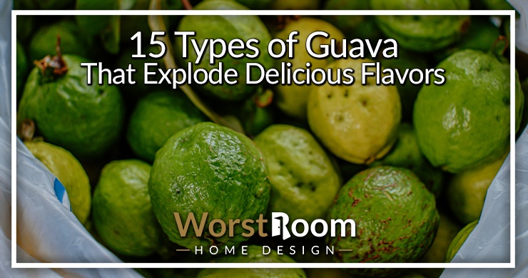 types of guava