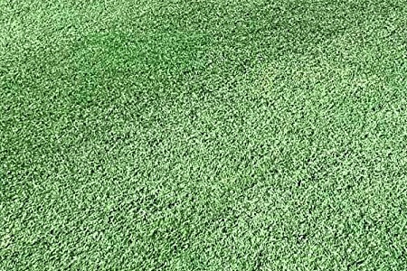 18 Types of Bermuda Grass for the Most Refined Lawns - Worst Room