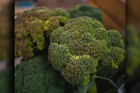 belstar broccoli