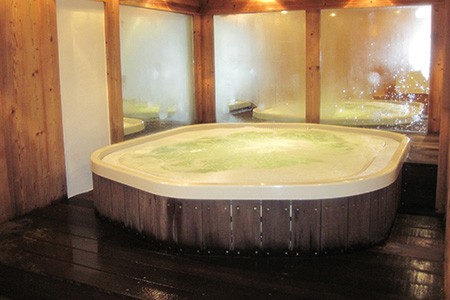 if you want unique hot tub shapes, you must definitely go with custom made & molded hot tub