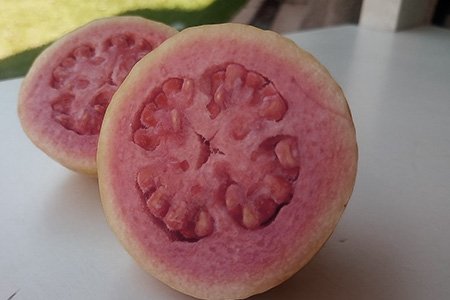 hong kong pink guava