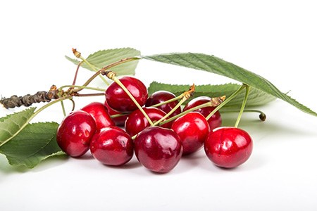 if you are looking for special cherry species that are native to europe, you must check out morello cherry