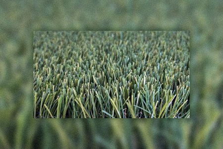 some different types of turf have a material that makes the grass susceptible to fire, making them non-flammable