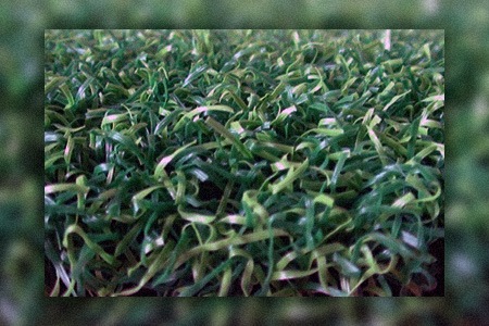 nylon artificial grass is the most expensive and durable solution one among the artificial turf types