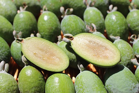 some species of guava have different shapes than others and pineapple guava is one of them