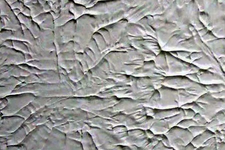 rosebud ceiling texture