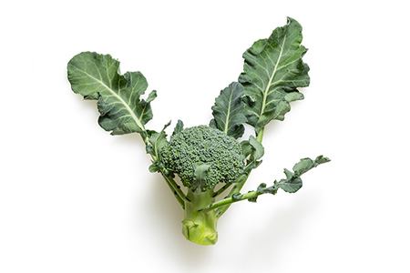 suiho broccoli