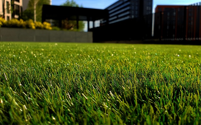 types of artificial grass thumbnail