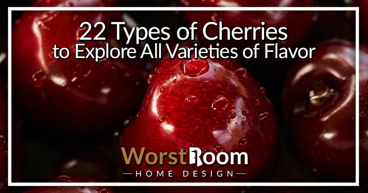 types of cherries