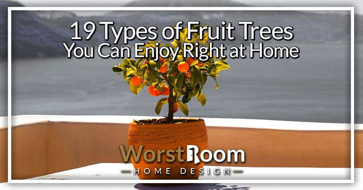 types of fruit trees