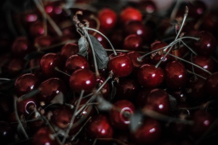 some types of cherries, like ulster cherry, can grow in harsh climates