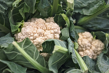 Caring for Cauliflower During Growth