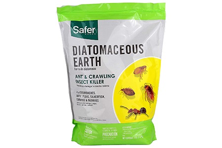 Diatomaceous Earth to repel ants