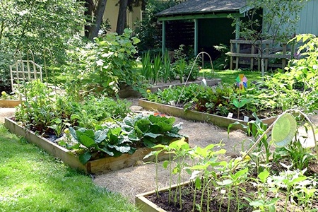 establish backyard garden zones