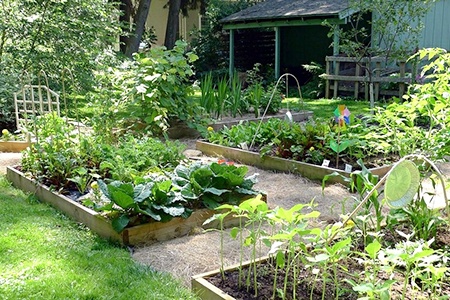 Backyard Farming for Everyone: Get Started Easily Today - Worst Room