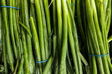 storing chives