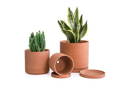 terracotta & ceramic planters are best types of pots for plants, especially for colder climates