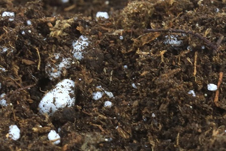 wet perlite in soil retaining water