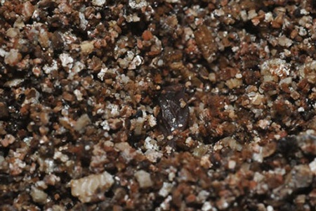 wet vermiculite mixed in soil