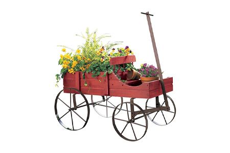 wheelbarrow planter