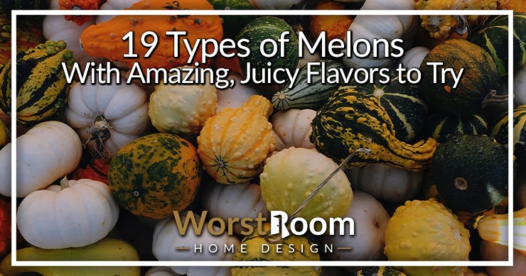 types of melons