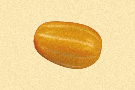 apollo melon