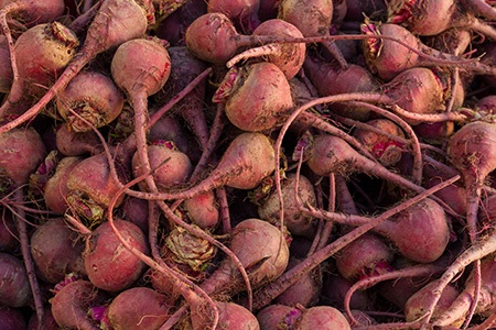 baby beets