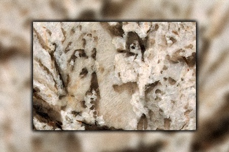 bianco antico granite is one of the classic granite countertop types